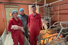 Une femme tenant un porcelet dans ses bras et deux hommes dans une salle de maternité d'un élevage porcin