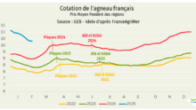Graphique de comparaison de la cotation de l'agneau français de 2022 à 2025