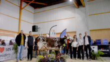 Des personnes devant une vache