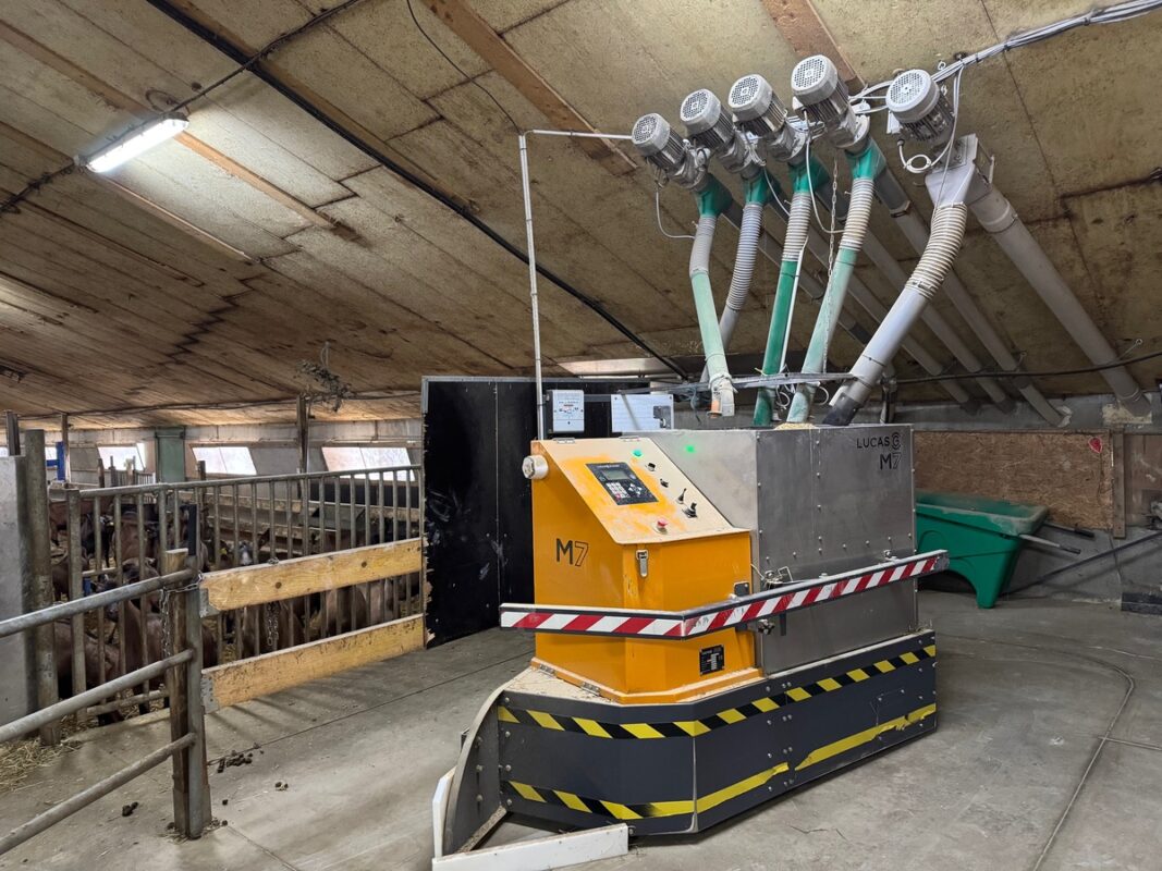 Un robot d'alimentation dans un élevage de chèvres laitières. 
