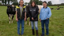 3 personnes avec des vaches dans un champ