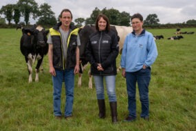 3 personnes avec des vaches dans un champ
