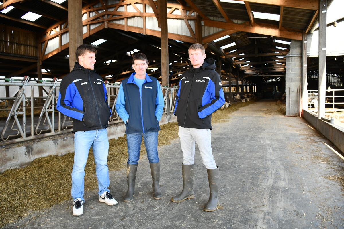 Les éleveurs sur le couloir d'alimentation de leur stabulation vaches laitières
