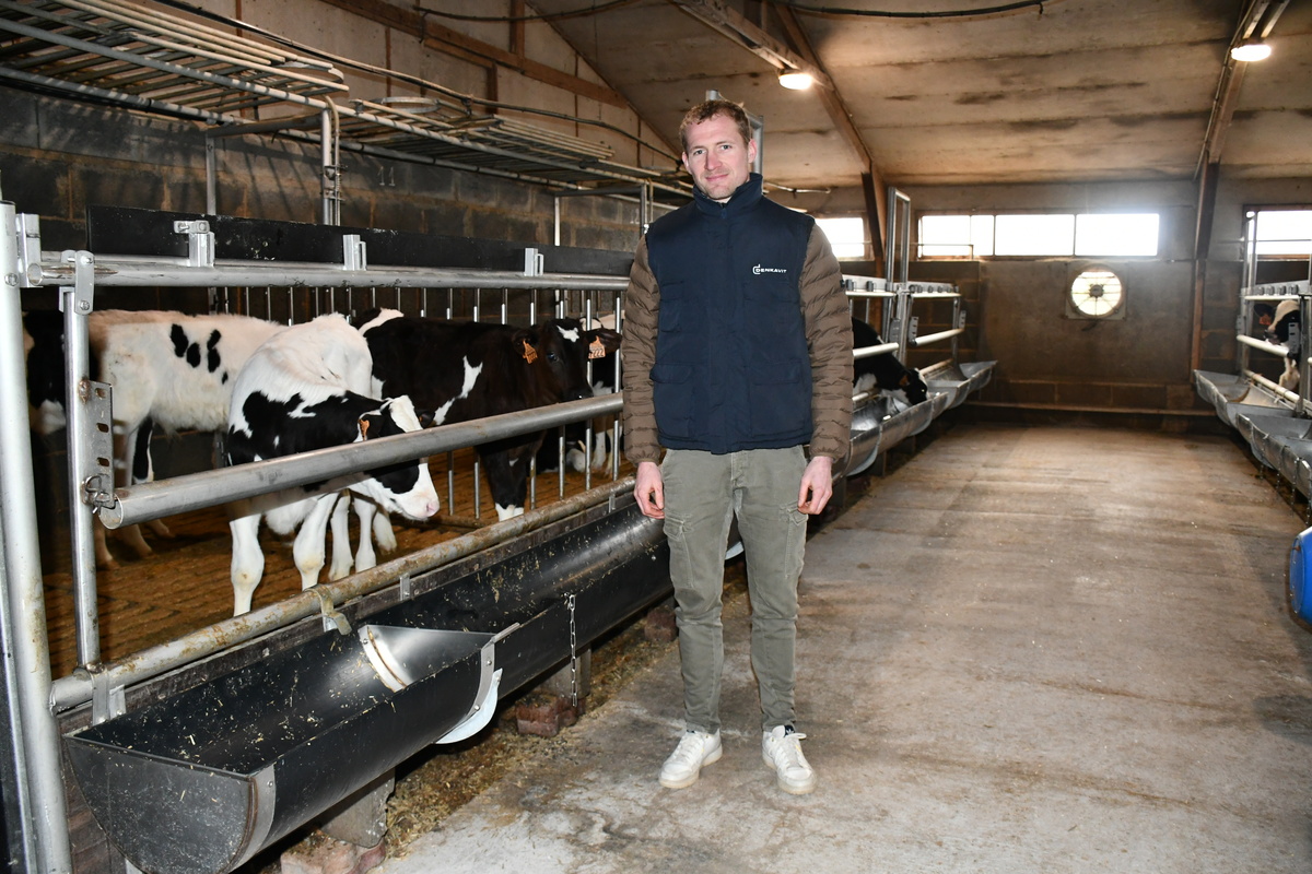 L'éleveur à côté des veaux de boucherie - Illustration L’ex-bâtiment porc abrite des veaux de boucherie