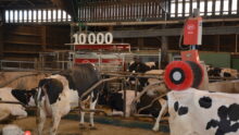Le 10 000ème robot de traite Lely