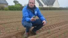 Cédric Le Velly avec un plant d'oignon dans la main