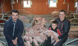 Un couple et leur fils dans une maternité porcine au milieu des truies et des porcelets