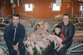 Un couple et leur fils dans une maternité porcine au milieu des truies et des porcelets