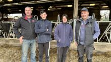 éleveurs devant stabulation
