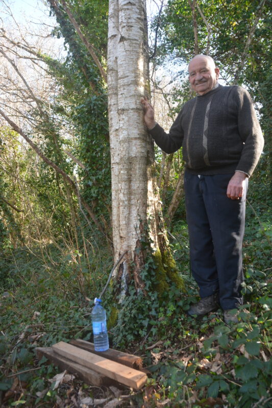 Les arbres ne manquent pas autour de chez Jean.