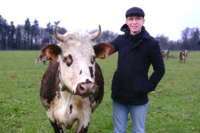 Jonathan Sablé avec Saturne, la vache mascotte de son troupeau