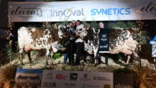 Les deux vaches normandes et les éleveurs sur le podium au concours de Rennes 2025