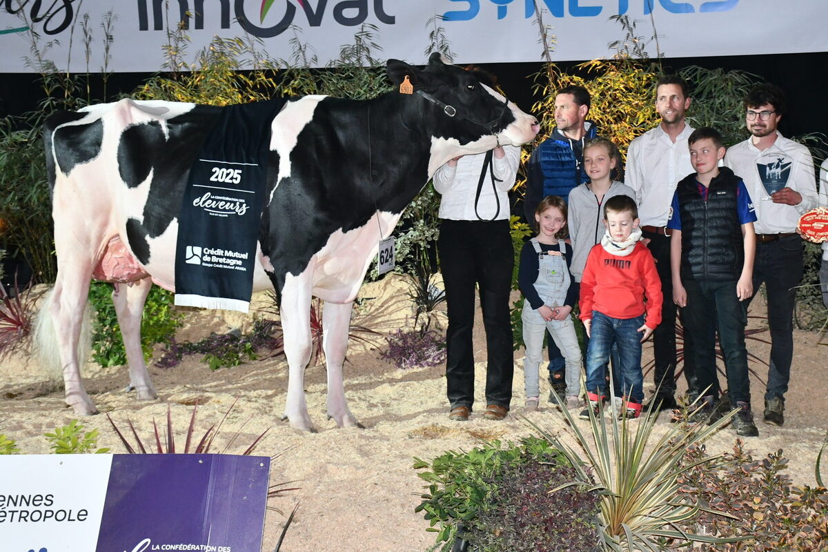 Pastèque, Championne vache Prim'Holstein, sur le podium du concours de Rennes 2025 - Illustration Pastèque, « une gagnante évidente »