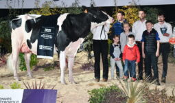 Pastèque, Championne vache Prim'Holstein, sur le podium du concours de Rennes 2025