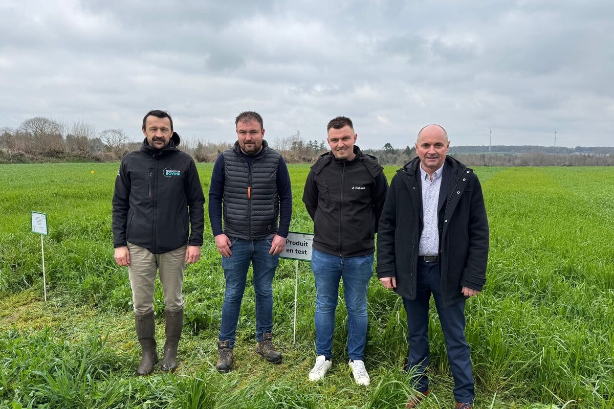 Quatre hommes devant une parcelle d'herbe - Illustration « Des fourrages pour faire du lait »