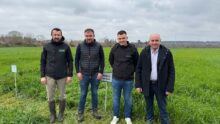 Quatre hommes devant une parcelle d'herbe