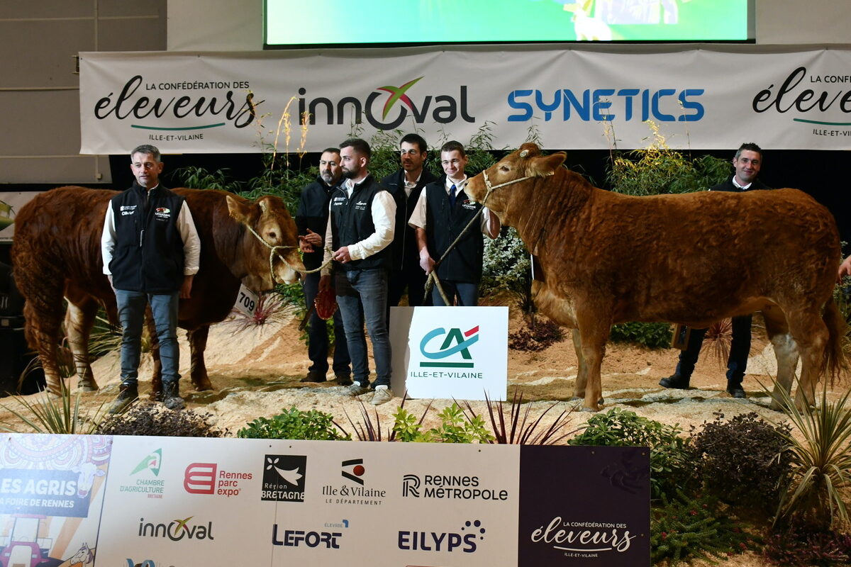 gagnants du concours limousins sur le podium de Rennes 2025 - Illustration Umbrella du Gaec des Mezandray  a pris la lumière