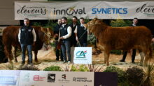 gagnants du concours limousins sur le podium de Rennes 2025