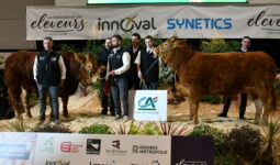 gagnants du concours limousins sur le podium de Rennes 2025