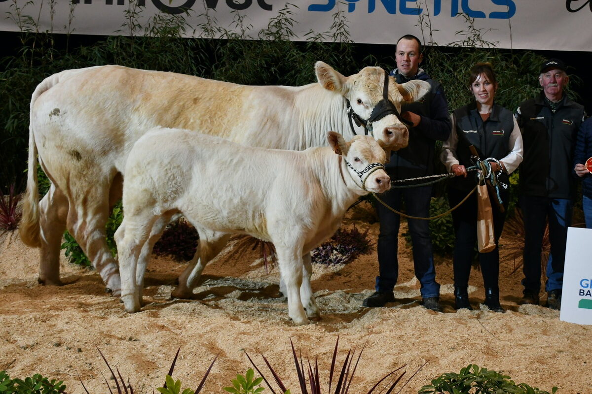 Popie, champion du concours Charolais et les éleveurs sur le podium de Rennes 2025 - Illustration Popie et Santiago récidivent comme Champions