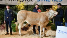 Ufer,, gagnante du concours Blonde d'Aquitaine, sur le podium de Rennes 2025