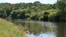 abords d'une rivière