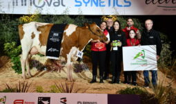 Rubis Rosie P, Championne en Pie Rouge, sur le podium de Rennes 2025