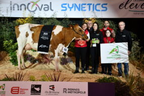 Rubis Rosie P, Championne en Pie Rouge, sur le podium de Rennes 2025