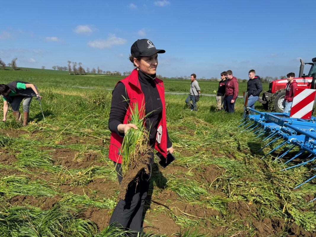 Sarah Choupault du Gab 22 constate le travail de « scalpage » de l'outil à dent Lemken.