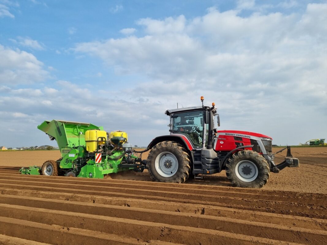 Un chantier de plantation de pomme de terre