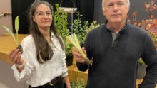 Clémentine Saliou et Jean-Michel Collet