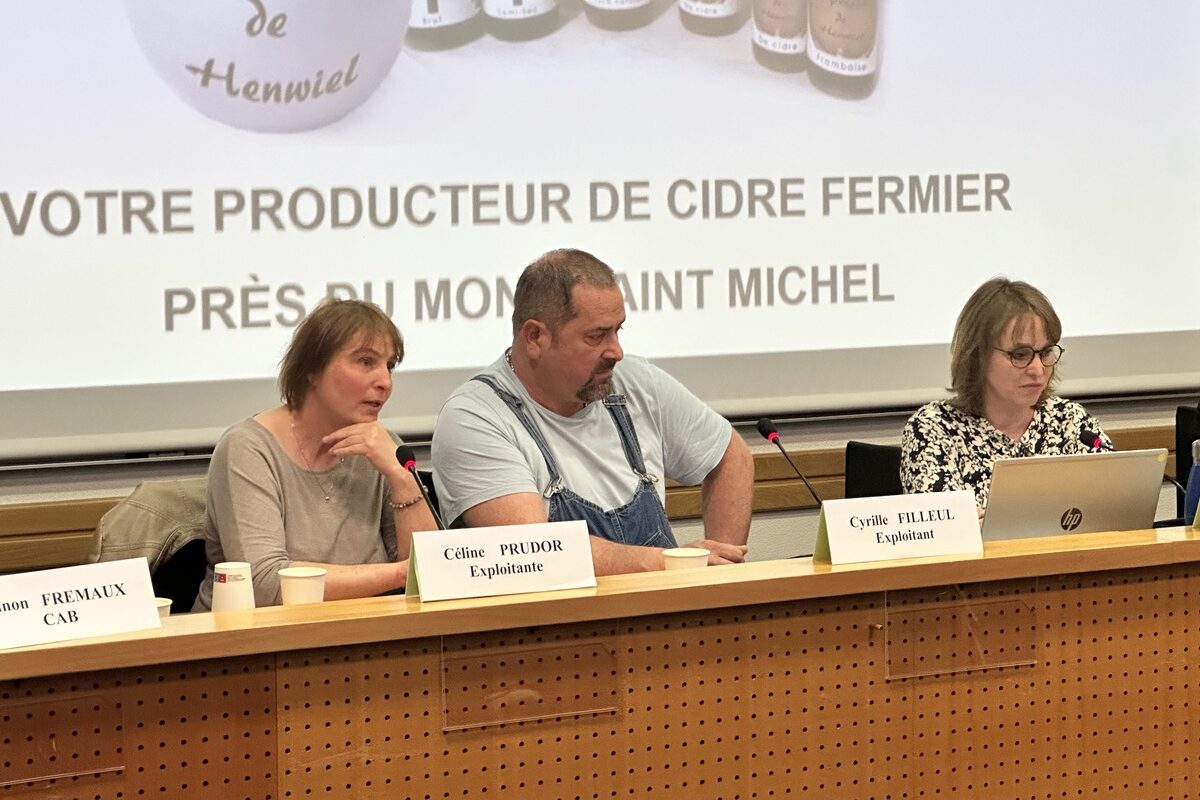 Céline Prudor et Cyrille Filleul - Illustration Bien s&rsquo;entourer pour sortir la tête de l&rsquo;eau