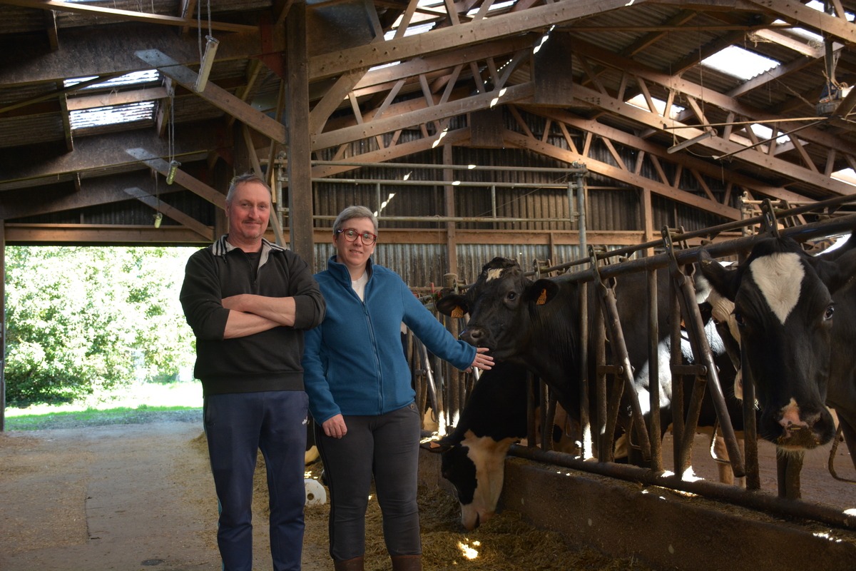 lait - Illustration Un robot et moins de vaches
