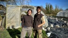 Rosélène Pierrefixe et Nicolas