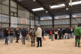 Les jeunes lors du concours de jugement du bétail à Rennes 2025