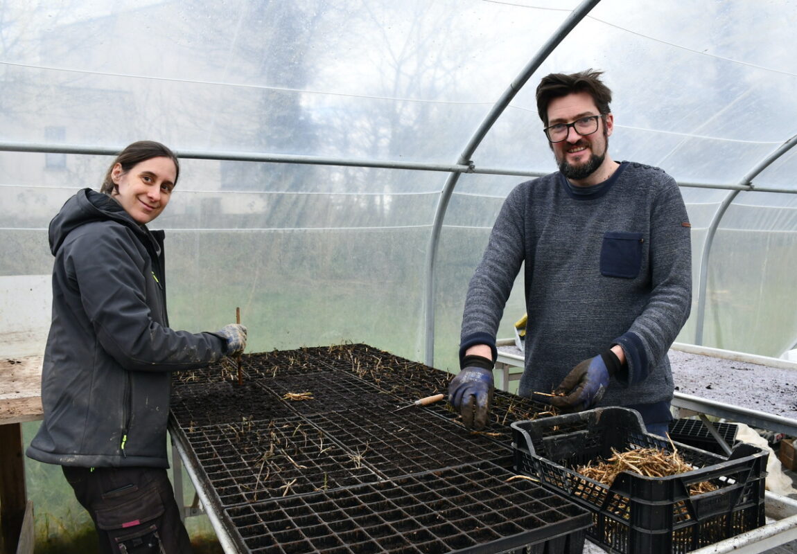 Les producteurs travaillent