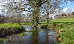 Ruisseau du Krann à Spézet