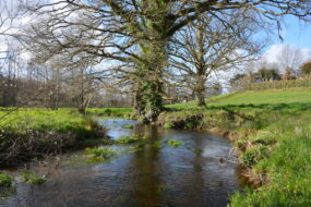 Ruisseau du Krann à Spézet