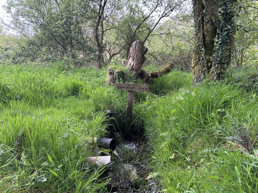 La tête de l’Aven  à Pen Aven à Coray.
