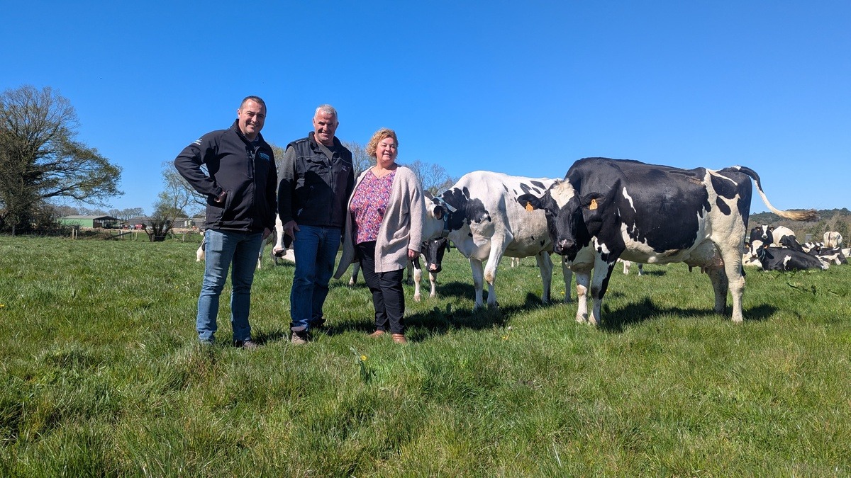 Trois personnes dans un champ avec des vaches laitières - Illustration 34,2, 12,2, 1,71… n’ayons pas peur des chiffres