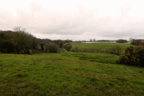 Un paysage de bocage