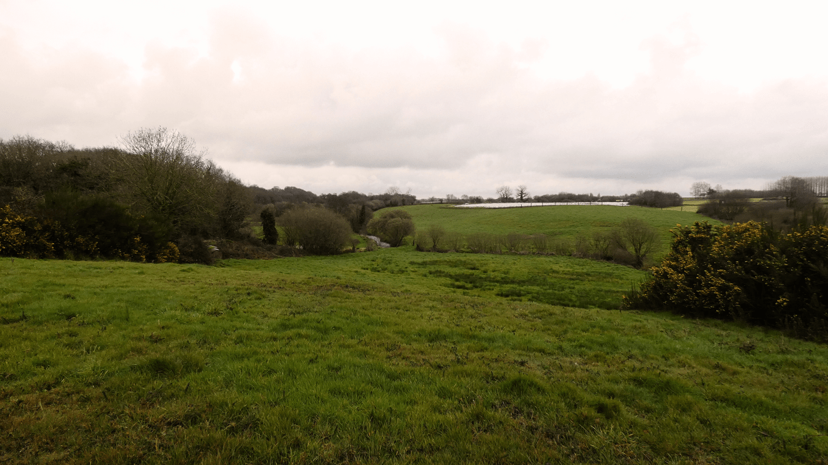 Un paysage de bocage - Illustration Mise à disposition  de parcelles agricoles