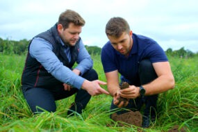 Deux personnes en train d'observer des plants dans un champ