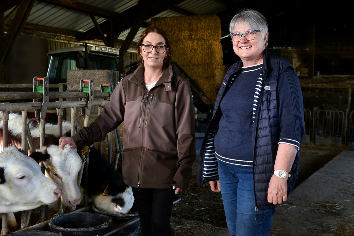 Une femme et un homme avec des vaches dans une stabulation - Illustration Bien-être homme-animal : Un mariage heureux à la ferme