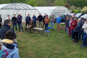 Le groupe avec des serres sur la parcelle