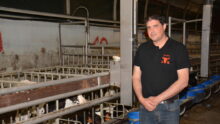 Un éleveur de veaux dans son atelier