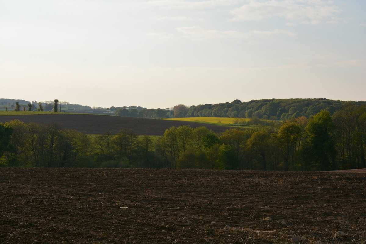 paysage breton avec champ labouré au premier plan - Illustration 140 M€ de crédits annulés