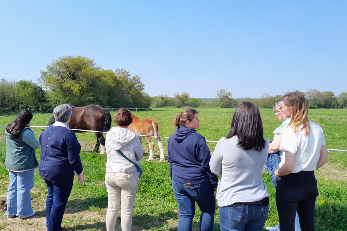 Un groupe de femmes de dos devant une parcelle avec deux chevaux - Illustration Journée d’échange  à Bienvenue à la Ferme