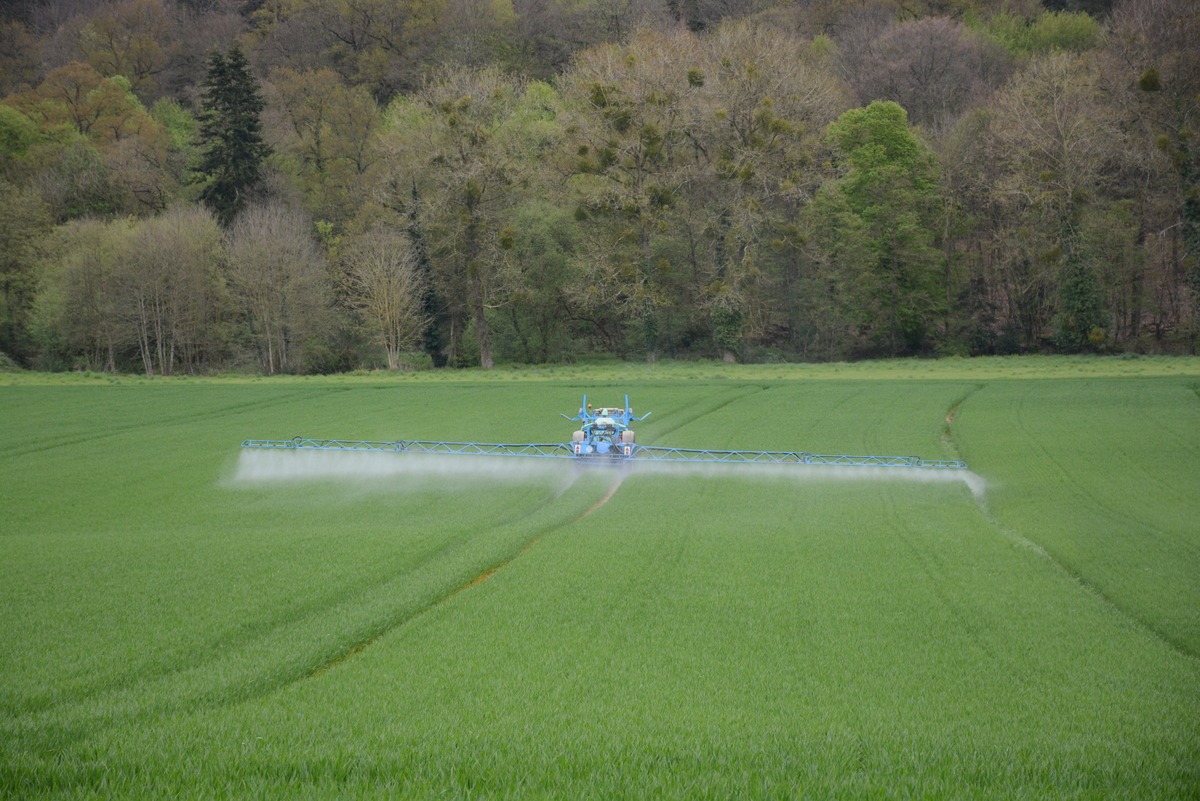 Un tracteur en train de pulvériser du fongicide dans un champ de blé  - Illustration Cure d’amaigrissement pour la loi Entraves