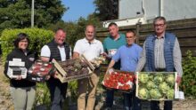 Une femme et cinq hommes présentant des cageots de légumes.
